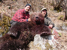 Alaska bear hunting